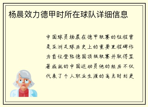 杨晨效力德甲时所在球队详细信息
